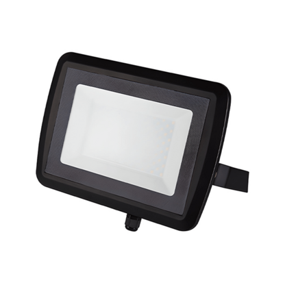 Floodlight 100W