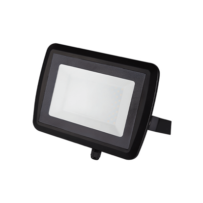 Floodlight 50W